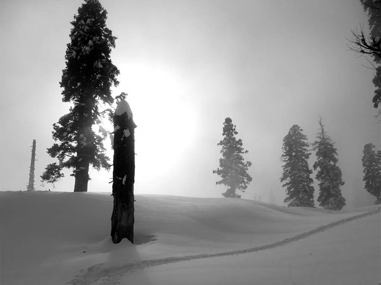 Ski Bum Powder Packages | Gulmarg Ski Resort