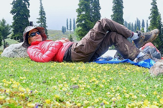 Hiking in Kashmir Alpine Meadows